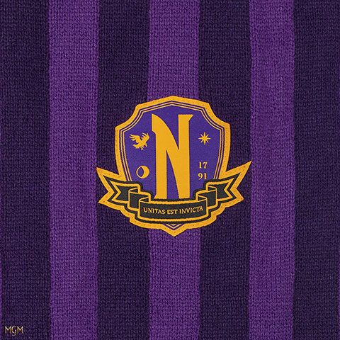 Écharpe Nevermore Academy violette - Wednesday