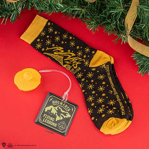 Harry Potter Deluxe Advent Calendar 2022 Harry Potter Deluxe Advent Calendar 2022