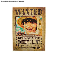 CR2098-Calendrier de l’avent 2025 - One Piece