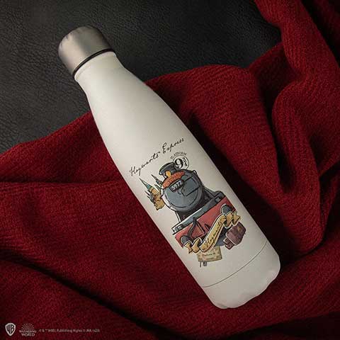 Bouteille Voyage à Poudlard 500ml - Harry Potter