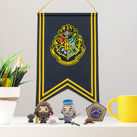 Figurines Gomee - Display Hagrid - 10 Boîtes - Harry Potter