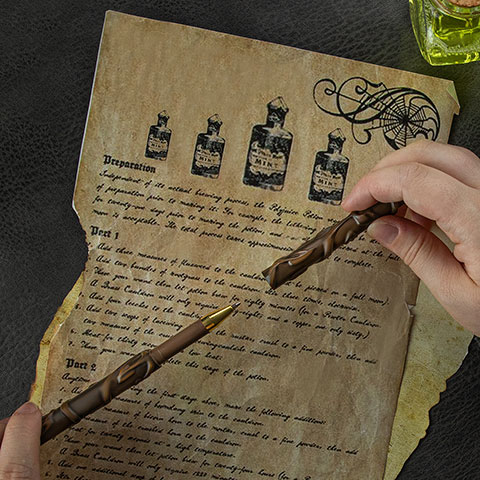 Stylo baguette Hermione Granger - Harry Potter