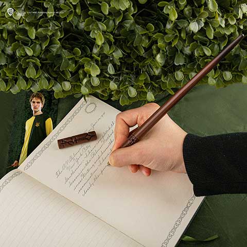 Stylo baguette Cédric Diggory et support - Boîte de 9 - Harry Potter