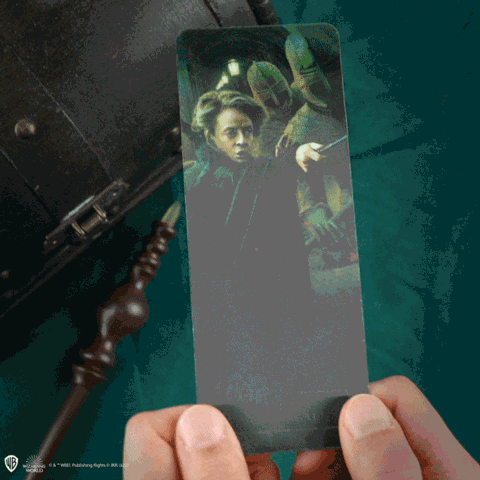 Stylo baguette Minerva McGonagall et support - Boîte de 9 - Harry Potter
