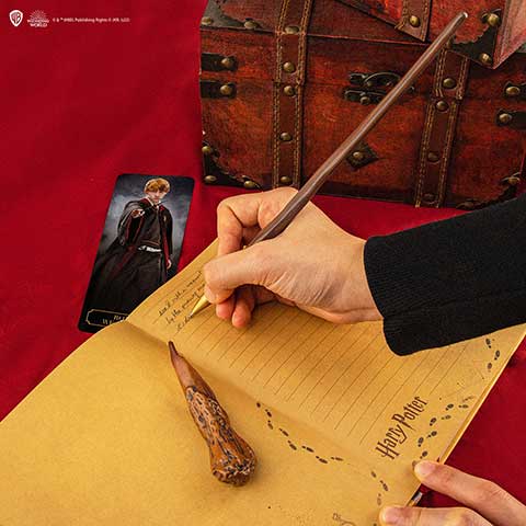 Stylo baguette Ron Weasley et support - Boîte de 9 - Harry Potter