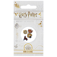 EHPM0166-Pack de mini Charms Hermione - Harry Potter