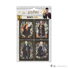 MAP5007-Set de 4 magnets - Personnages portraits - Harry Potter