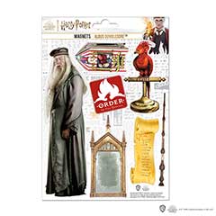 MAP5025-Planche de magnets en mousse - Dumbledore - Harry Potter