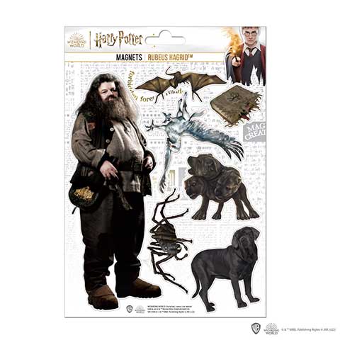 Planche de magnets en mousse - Hagrid - Harry Potter