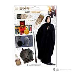 MAP5027-Planche de magnets en mousse - Severus Rogue - Harry Potter