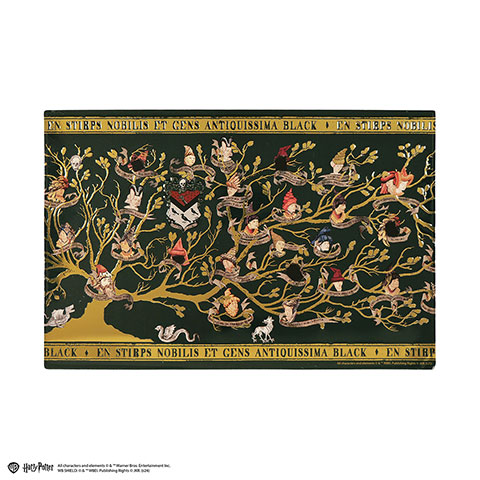 Aluminium plate Black Family - Harry Potter